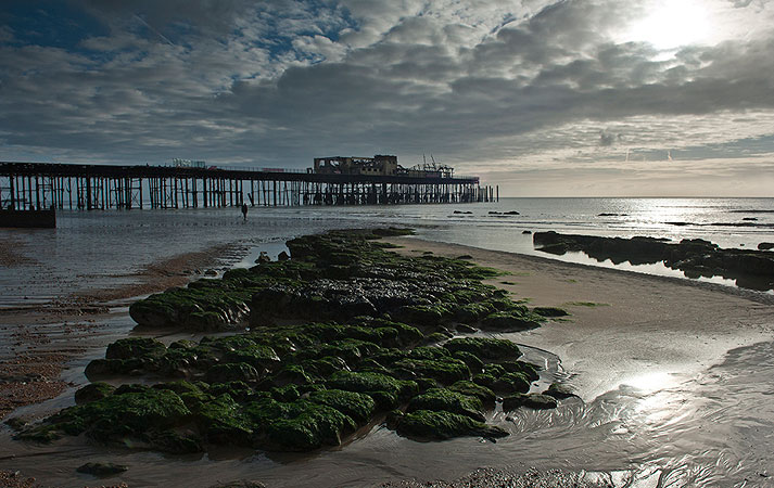Rocks and Pier at Low Tide