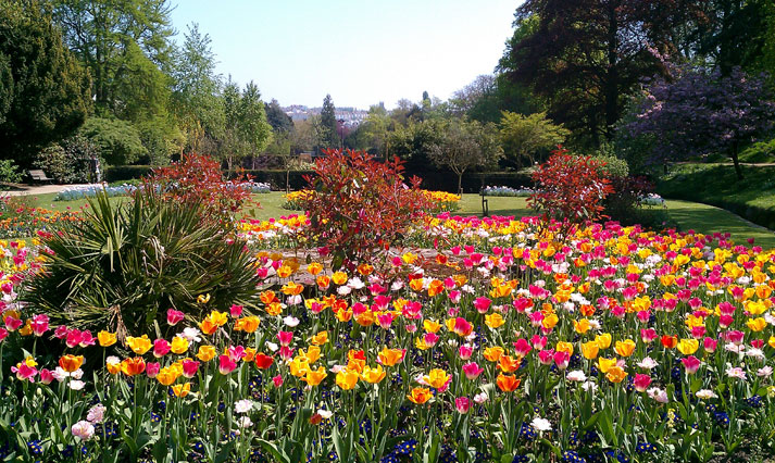 Alexandra Park