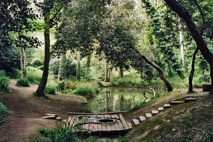Summerfields Wood
