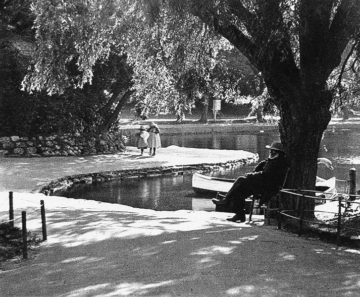 Relaxing at Alexandra Park