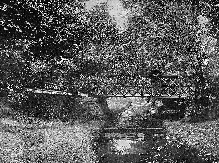 Alexandra Park Stream