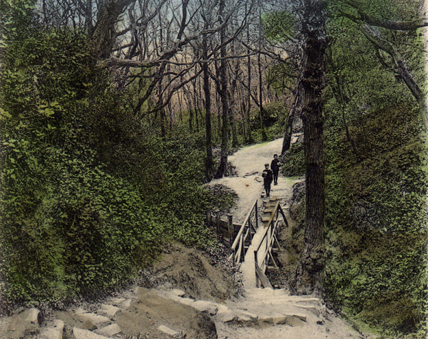 Ecclesbourne Glen Footbridge