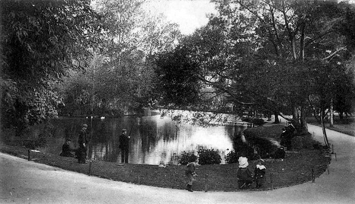 Alexandra Park Fishing Lake