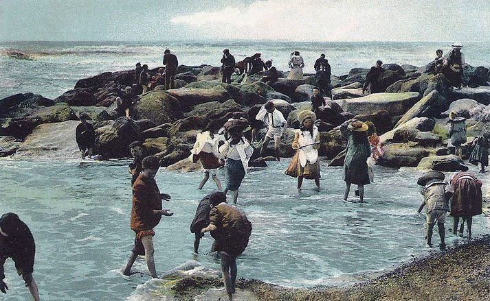 Rock Pools at White Rock
