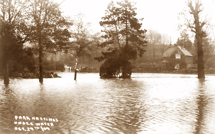 Alexandra Park Floods