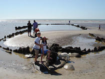 Remains of The Amsterdam