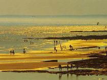 St Leonards Beach at Twilight