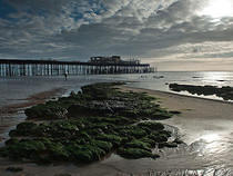 Rocks and Pier at Low Tide