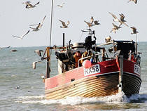 RX58 Returns to Hastings