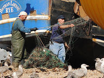 Fishermen, Nets and Gulls