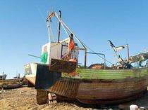 Fishing Boats