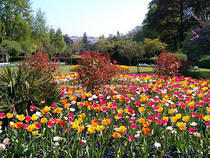 Alexandra Park