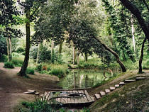 Summerfields Wood