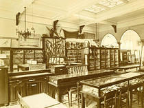 Brassey Institute Museum Exhibits