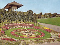 Floral Clock - Cricket Festival