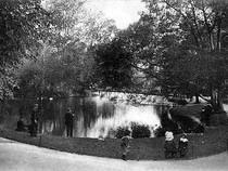 Alexandra Park Fishing Lake