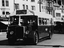 Bus 134 to Fairlight