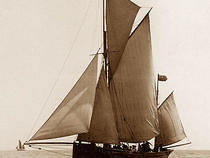 The New Albertine