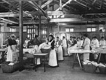Hollington Laundry