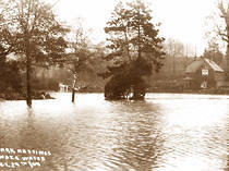 Alexandra Park Floods